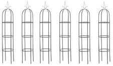 Colonne à rosiers Romantika