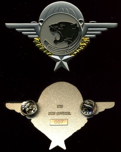Parachutiste brevet des - parachutiste, /