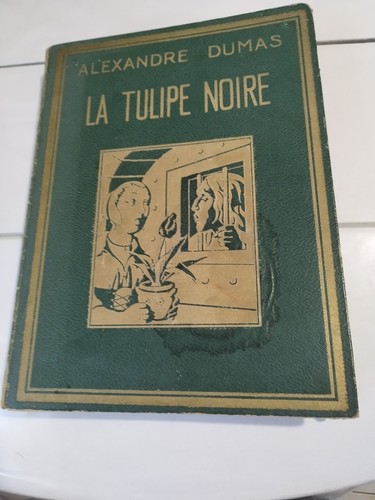 Tulipe noire alexandre - noire,