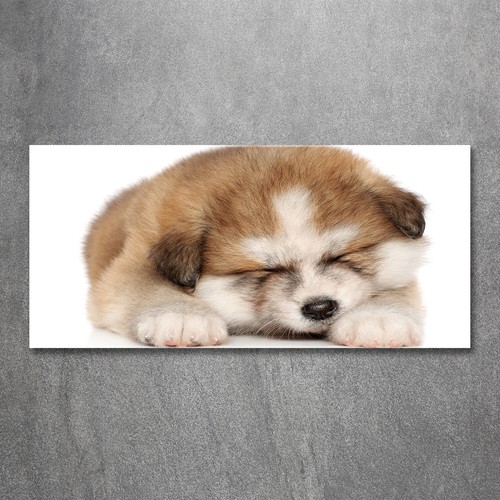 Tulup image sur verre trempé - image,