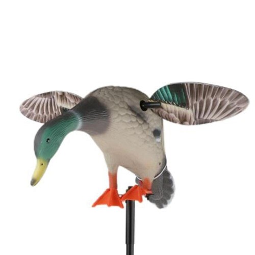 Appelant canard ailes - appelant,