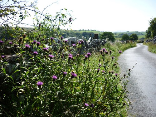 Photo gordale lane - a3,