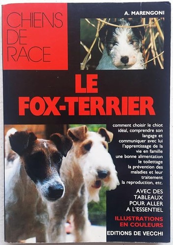 Fox terrier marengoni - -,