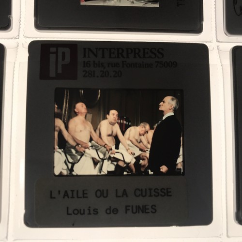 Aile cuisse louis - l’aile,