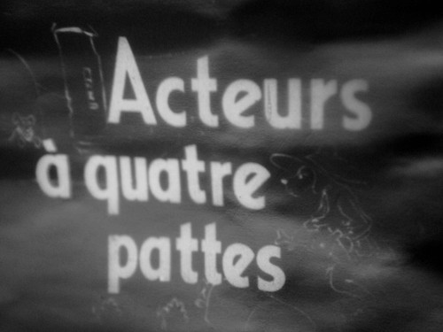 Acteurs pattes film - , (film