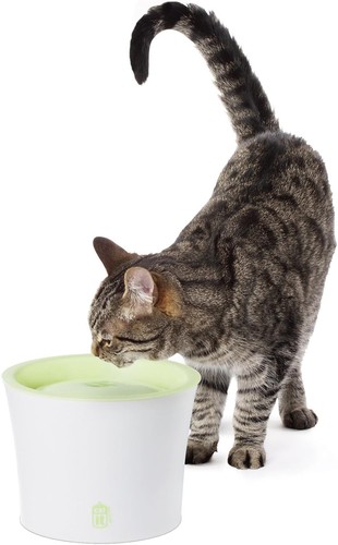 Fontaine eau pour chats et - ,