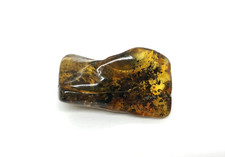Pièce d'ambre insecte fossile