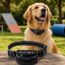 Collier anti aboiement - anti-aboiement, chien
