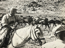 Photo tirage original signé