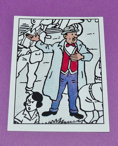 Panini tintin herge - panini,