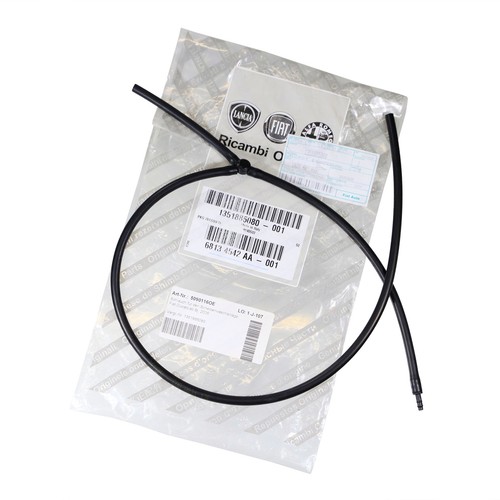 Fiat tuyau pour lave - tuyau,