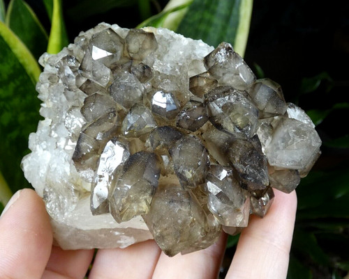 Rare quartz fumé - rare,