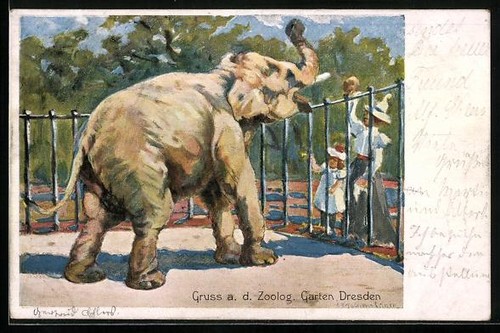éléphant trompette mère - Éléphant,