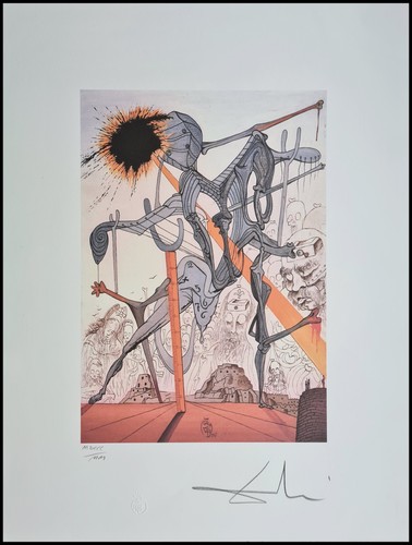 Salvador dali portfolio de - salvador,