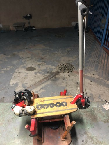 Goped sport g2d - sport,