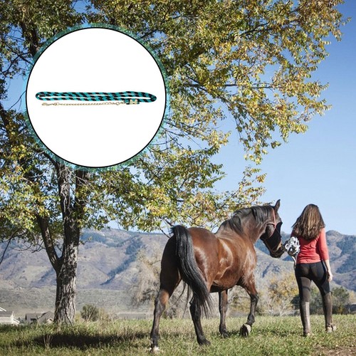 Longe pour cheval - , avec