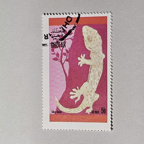 Tokay gecko stamp27 stamp - tokay,