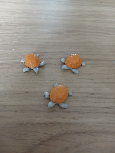 Petites tortue terrestre - petites,