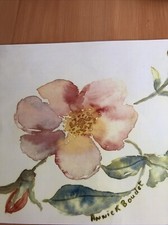 Sets De Table Avec Motifs Différents Vendus à L’unité 15 Euros