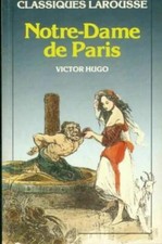 Livre Notre Dame De Paris