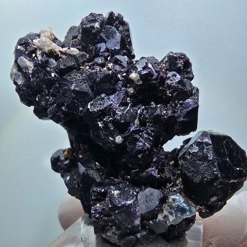 Magnifiques cubes fluorite - magnifiques,