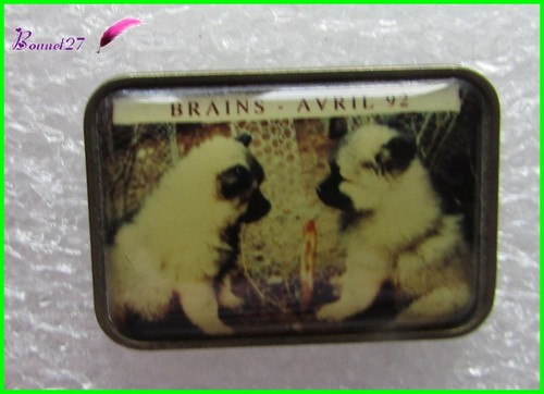 Pin animal chiot - pin's, des