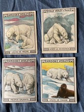 CHROMO OURS POLAIRE - LOT DE 4