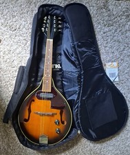 NEW ELECTRIC MANDOLINE S101