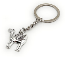 Chameau Avec Selle Désert