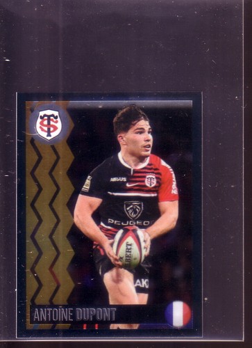 Sticker panini rugby - panini, top14