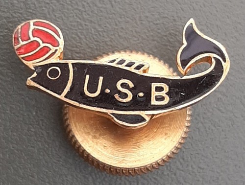 Rare insigne usb football - rare,