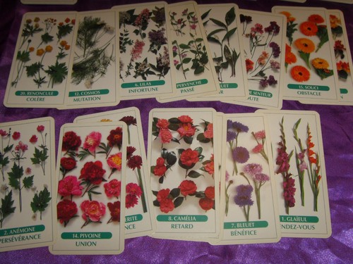 Ancien tarot floral fleurs - floral,
