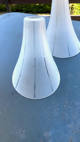Tulipe verre depolie - tulipe, en