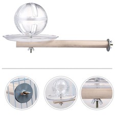  Jouet Calopsitte Accessoires