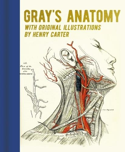 Henry gray anatomy - henry, gray's