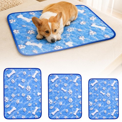 Tapis soie glacée - en,