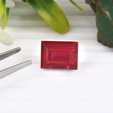 Naturel Mozambique Pigeon Sang