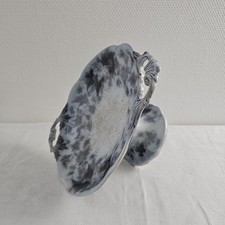 Coupe Sur Pied Bryonia