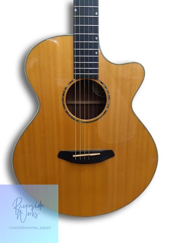 Guitare acoustique électrique