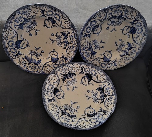 Assiettes creuse creil - creuse,