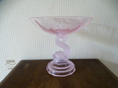 Coupe sur pied - , dauphin