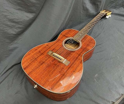 Guitare acoustique électrique