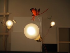 Ingo Maurer - Les Riches