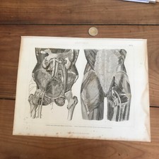 gravure ancienne 19eme N740