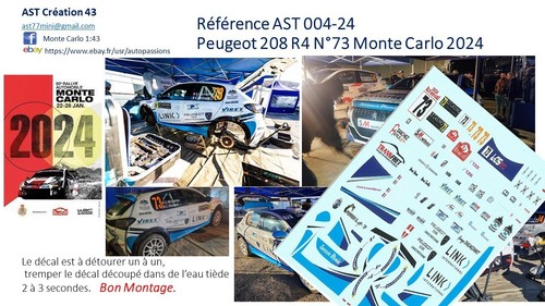 New decal peugeot 208 r4 - new, 43