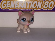 Littlest PetShop HUSKY BLANC