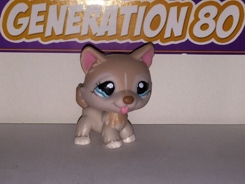 Littlest petshop husky - littlest,