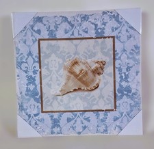 Tableau toile cadre Coquillage