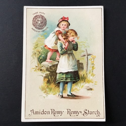 Calendrier 1888 amidon remy - amidon,