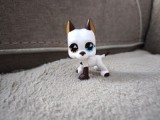 Authentique littlest pet - authentique, shop